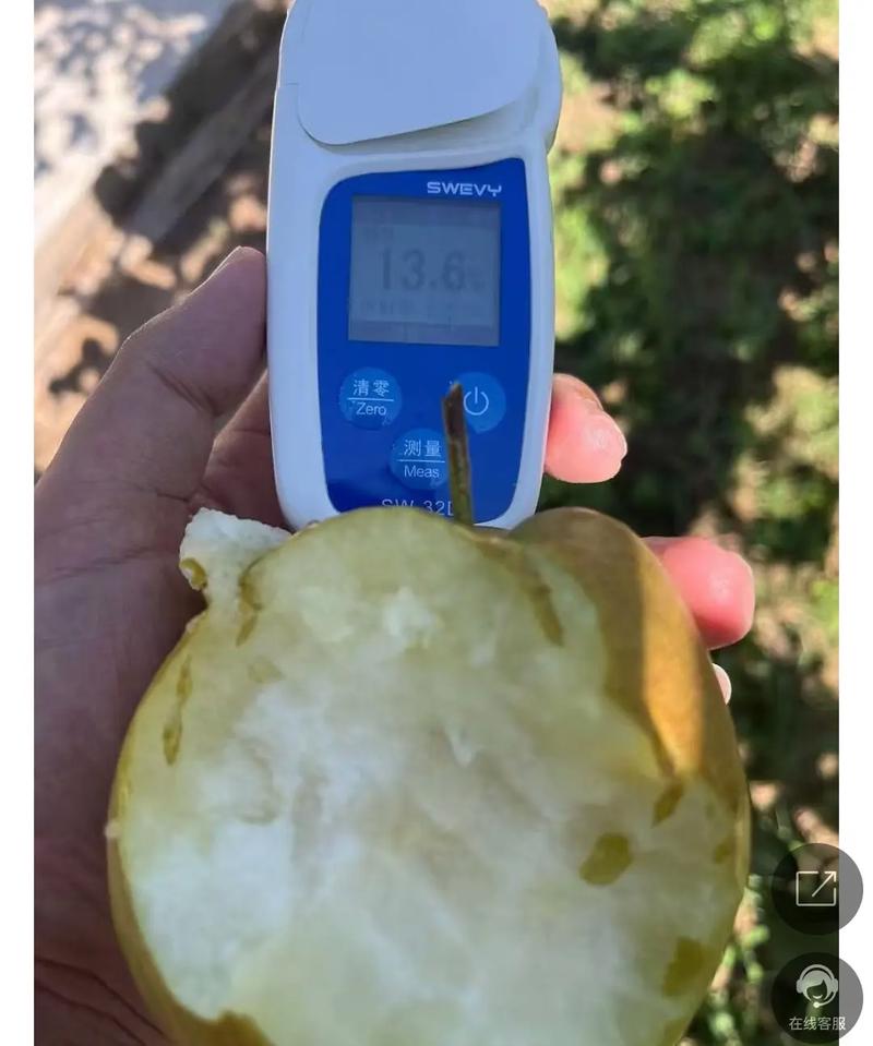 基地直采玉露香梨 一口咬下，原生态的鲜甜与诚意