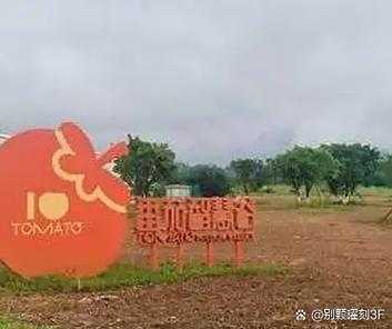 凤仪湾中法农业科技园 以生态科技唤醒千年湿地