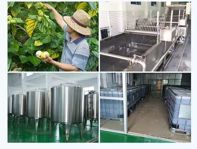 海南省健康产业发展规划(2019-2025年)解读,诺丽是重点规划健康产业之一